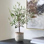 Solea Olive Accent - Image 4