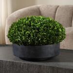 Verdana Boxwood Centerpiece - Image 3