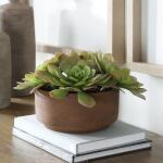 Sable Succulent Accent - Image 2