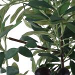 Sonora Olive Tree - Image 6