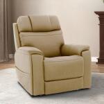 ZG Power Lift Recliner P3