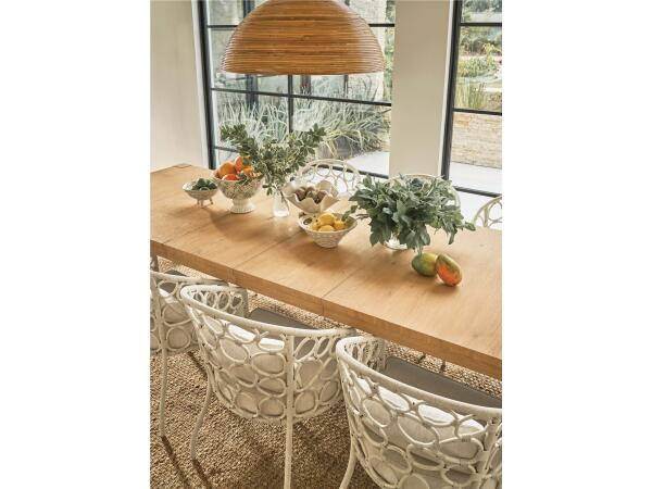 Weekender Coastal Living Home Collection Pebble Dining Chair - Image 4