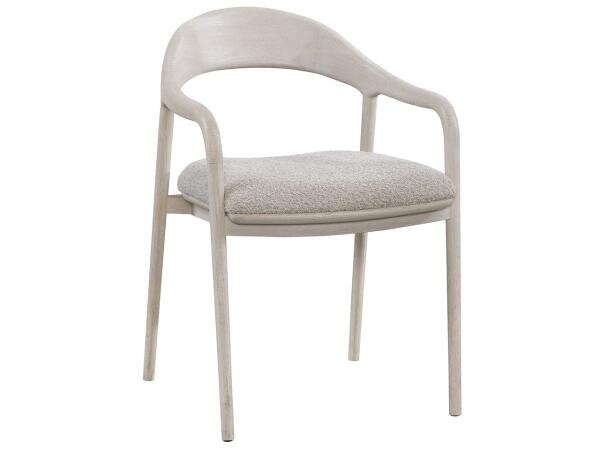 Modern Echo Dining Arm Chair