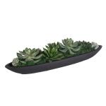 Verde Succulent Centerpiece, Black - Image 5