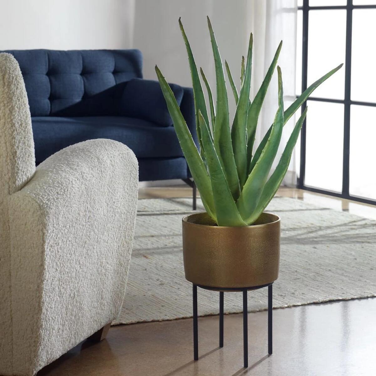 23ebe5db3854c50af7464563f1ddb19e Arabia Aloe Planter, 2 Cartons - Image 1