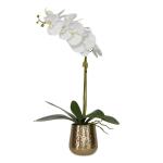 Cami Orchid, Brass - Image 3
