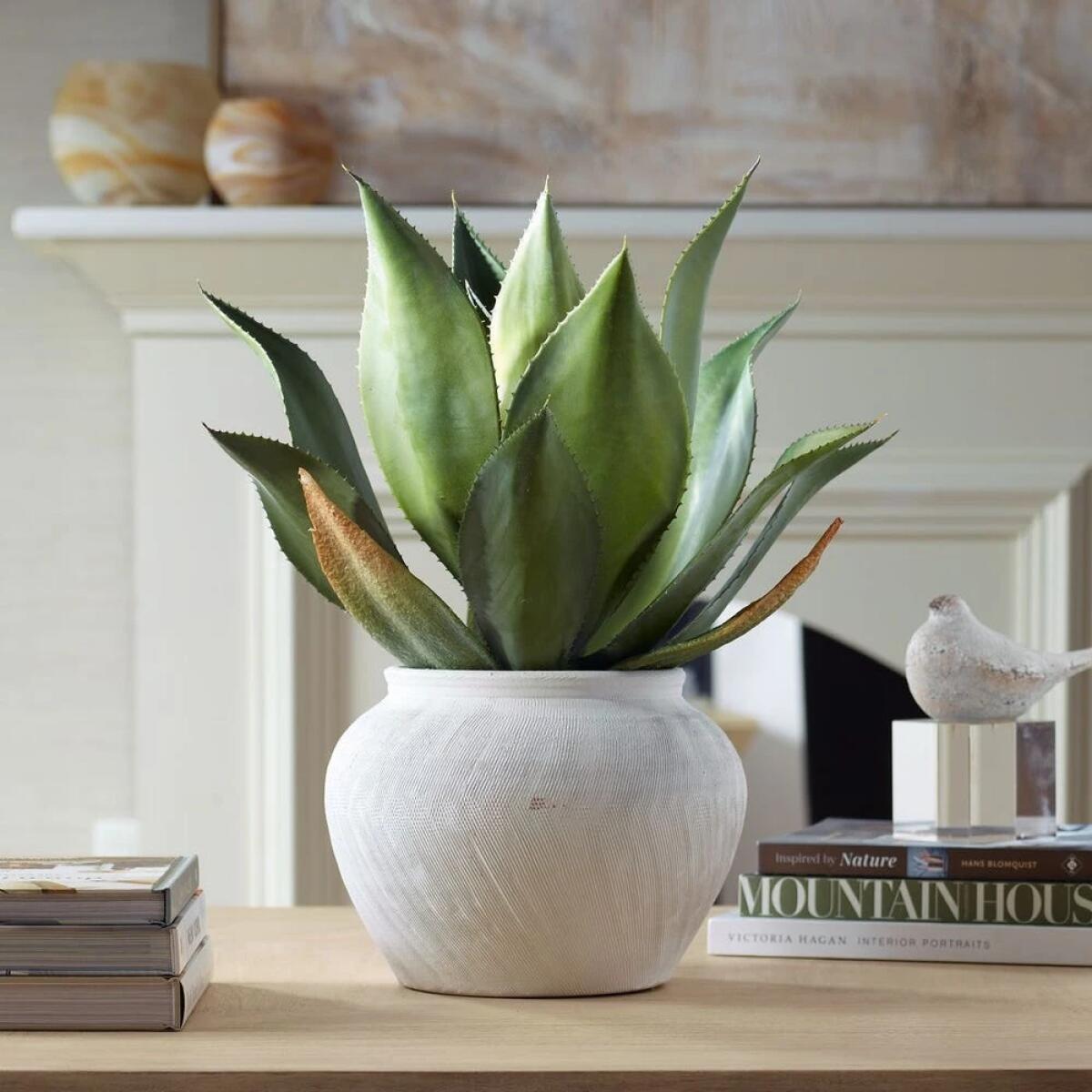 2d65b0a04b0cb4ca8afcdb15ee0a29fc Tierra Agave Centerpiece - Image 1
