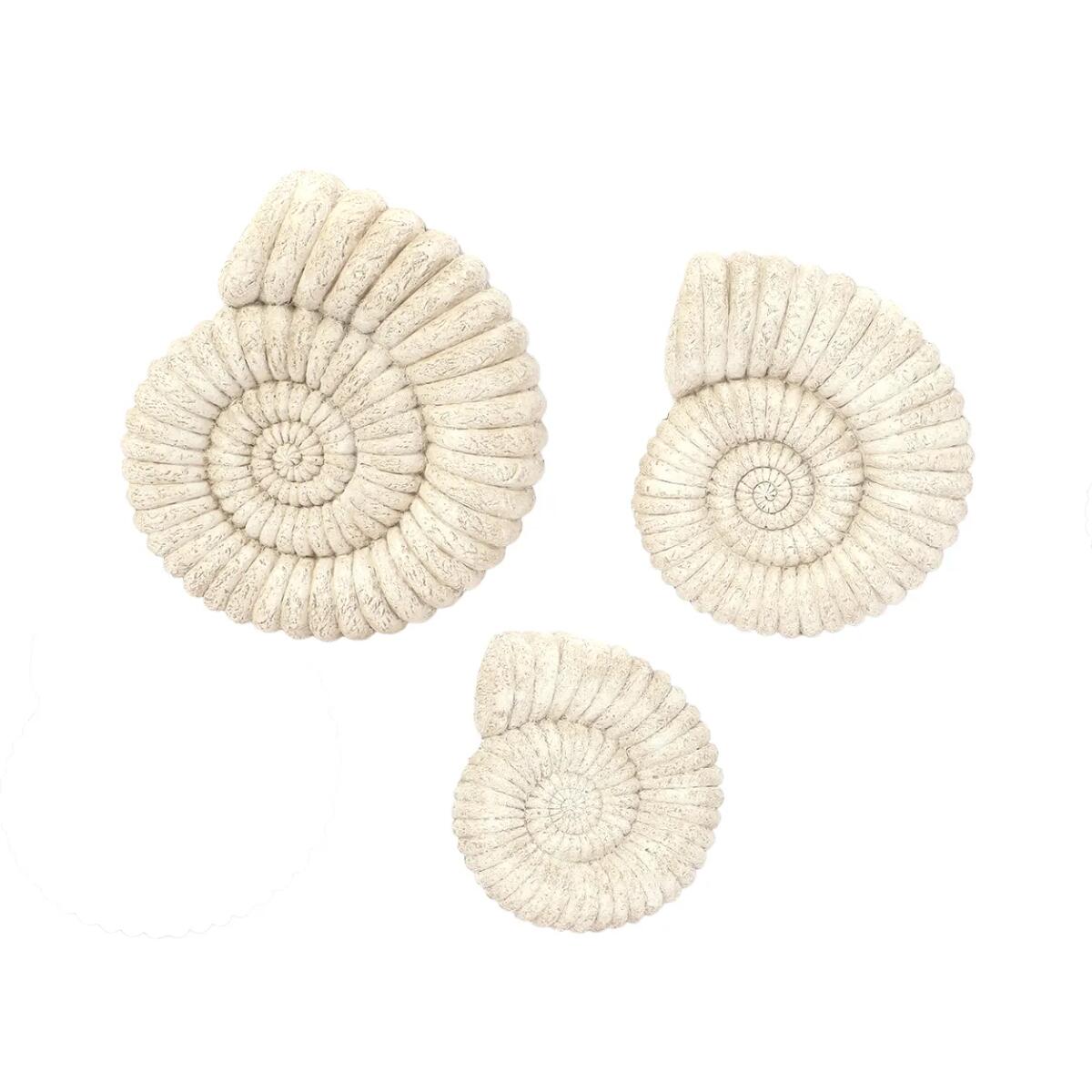2e678f74cff8668c44ff5423a5b12da8 Shoreline Swirls - Image 1
