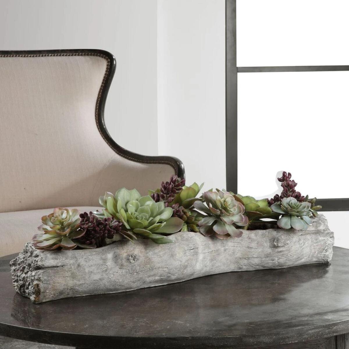 35378c1a56044c8bb88f3b26c96e8340 Charita Succulents - Image 1