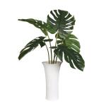 Muse Monstera Centerpiece - Image 6