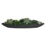 Verde Succulent Centerpiece, Black - Image 3