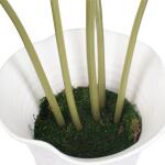Muse Monstera Centerpiece - Image 9