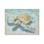 Turtle Tides