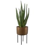 Arabia Aloe Planter, 2 Cartons - Image 3
