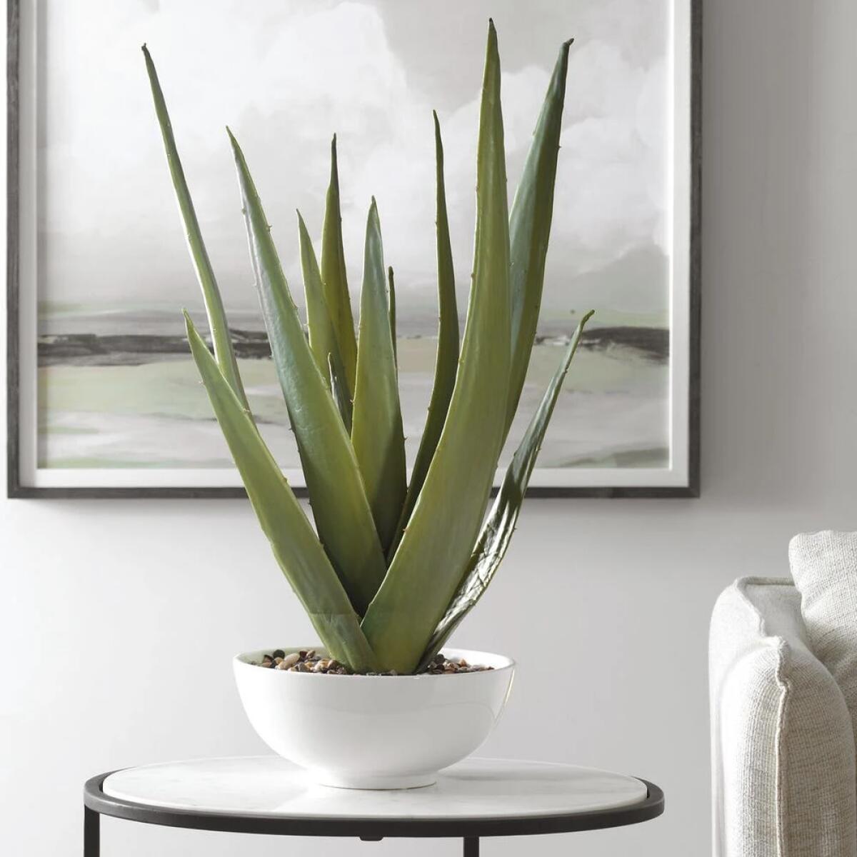 62398131d20906b594ff5f3398275f83 Evarado Aloe Planter - Image 1