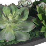 Verde Succulent Centerpiece, Black - Image 8