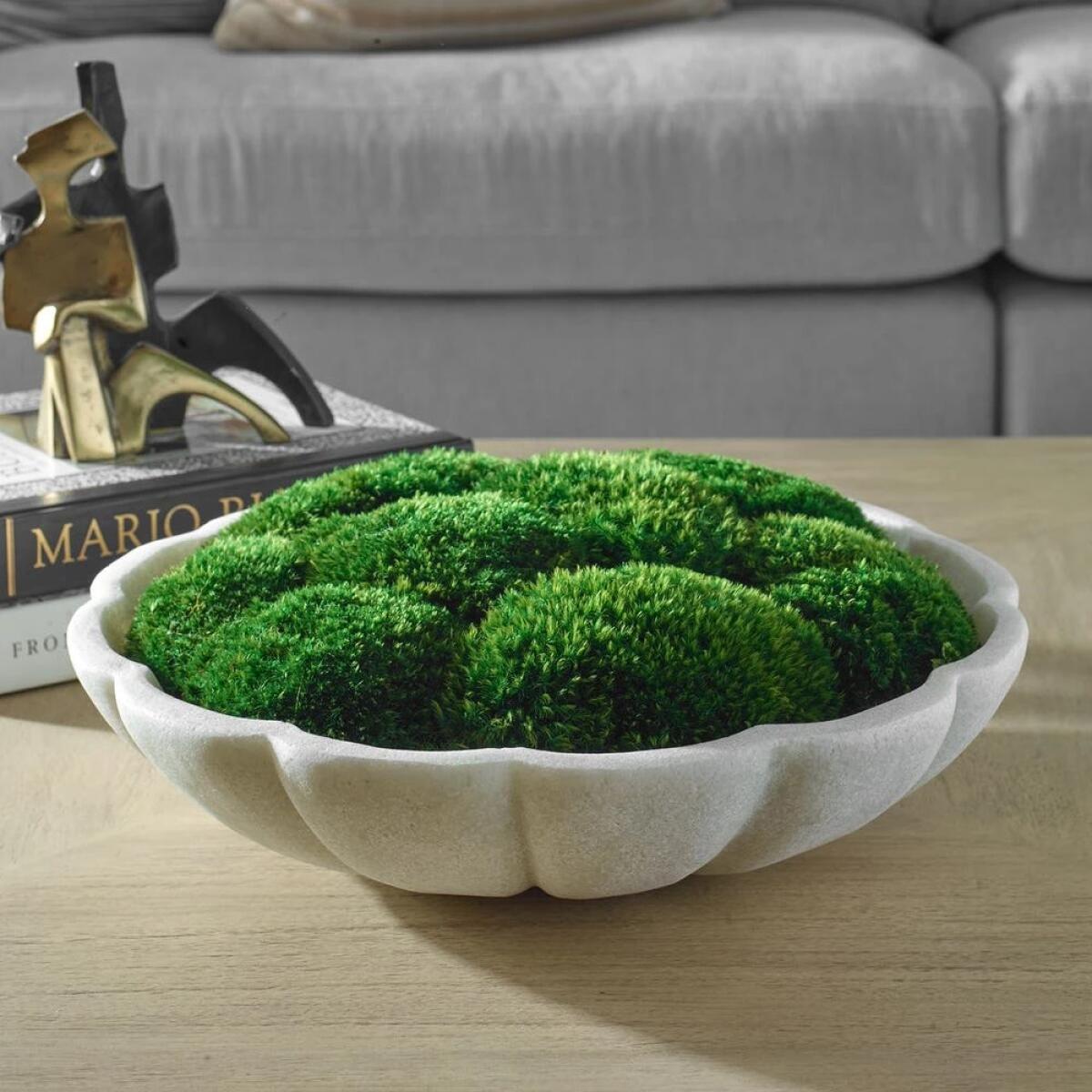 65eddf1a88d89c340b3985f32ab3bf46 Awaken Moss Centerpiece - Image 1