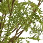 Woodland Fern Centerpiece - Image 5
