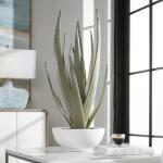 Evarado Aloe Planter - Image 6