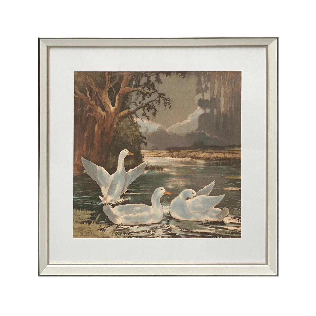 a2d020f132c0636c77252fda94d7fd86 Swan Lakes - Image 1