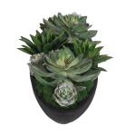 Verde Succulent Centerpiece, Black - Image 6