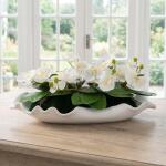 Opulence Orchid - Image 3