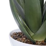 Evarado Aloe Planter - Image 5