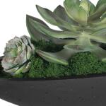 Verde Succulent Centerpiece, Black - Image 9