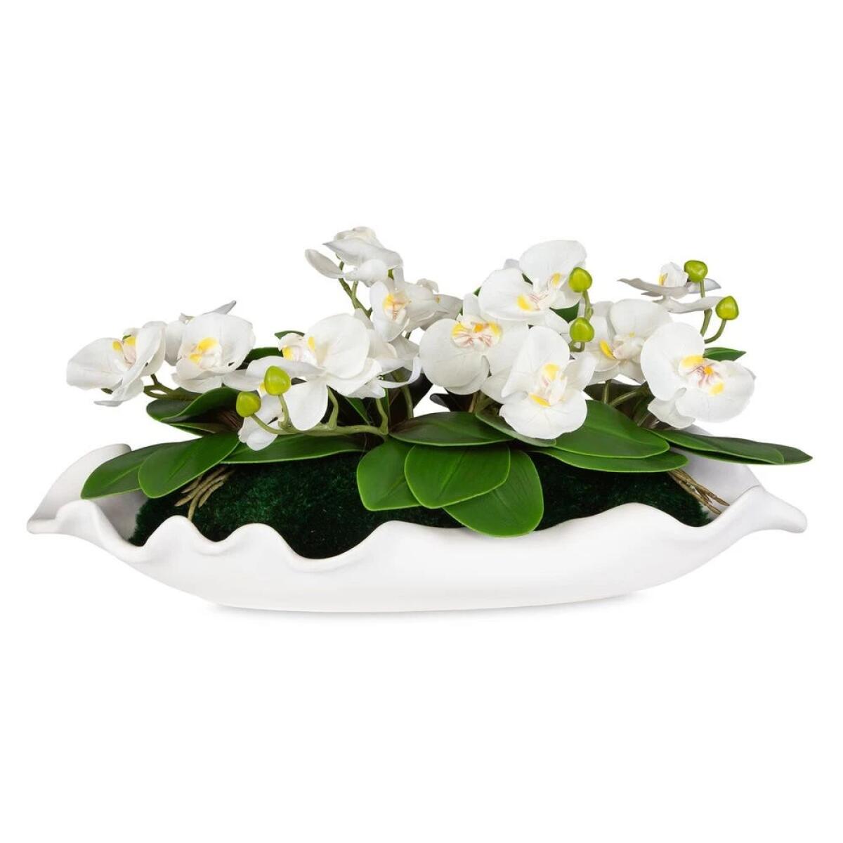 c716cf11eafc321a3021f8c7bc1d4d36 Opulence Orchid - Image 1