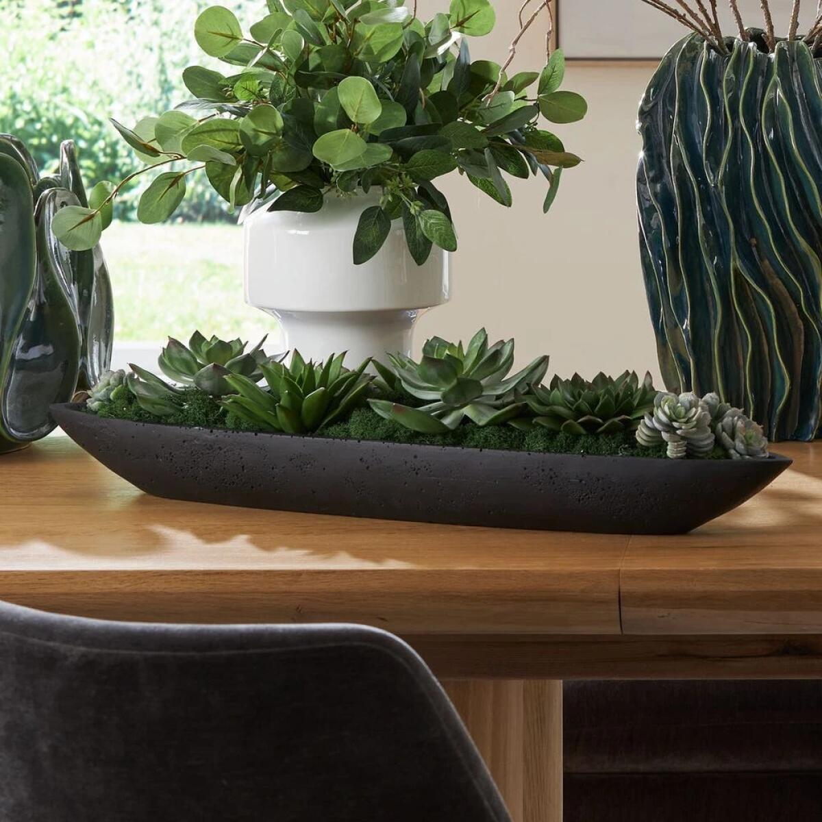 db11a7273b43f0093444371034e76f23 Verde Succulent Centerpiece, Black - Image 1