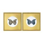 Golden Wings