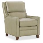 Shaw Recliner - Image 7